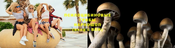 mdpv Баксан