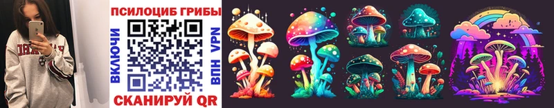 цена наркотик  Нерюнгри  Псилоцибиновые грибы Psilocybine cubensis 